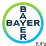 bayer